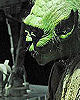 Master Yoda's Detail (Left)