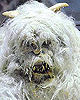 Wampa Mask