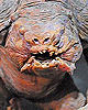 Rancor Model