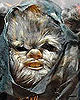 Ewok Costume