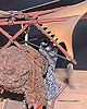 Ewok Hang Glider Model