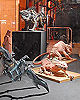 Geonosis Beasts Showcase