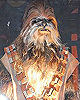 Wookie Costumes
