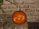 Chelsea Rahal's Pumpkin